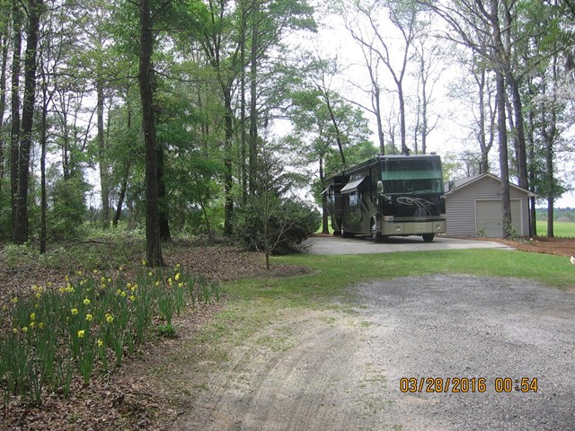1049 Mill Creek Rd, Bartow, GA 30413 photo 5