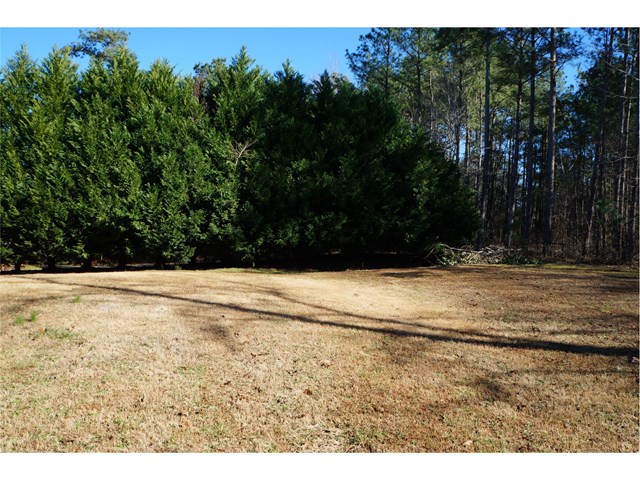 375 Flowers Dr, Covington, GA 30016 photo 21