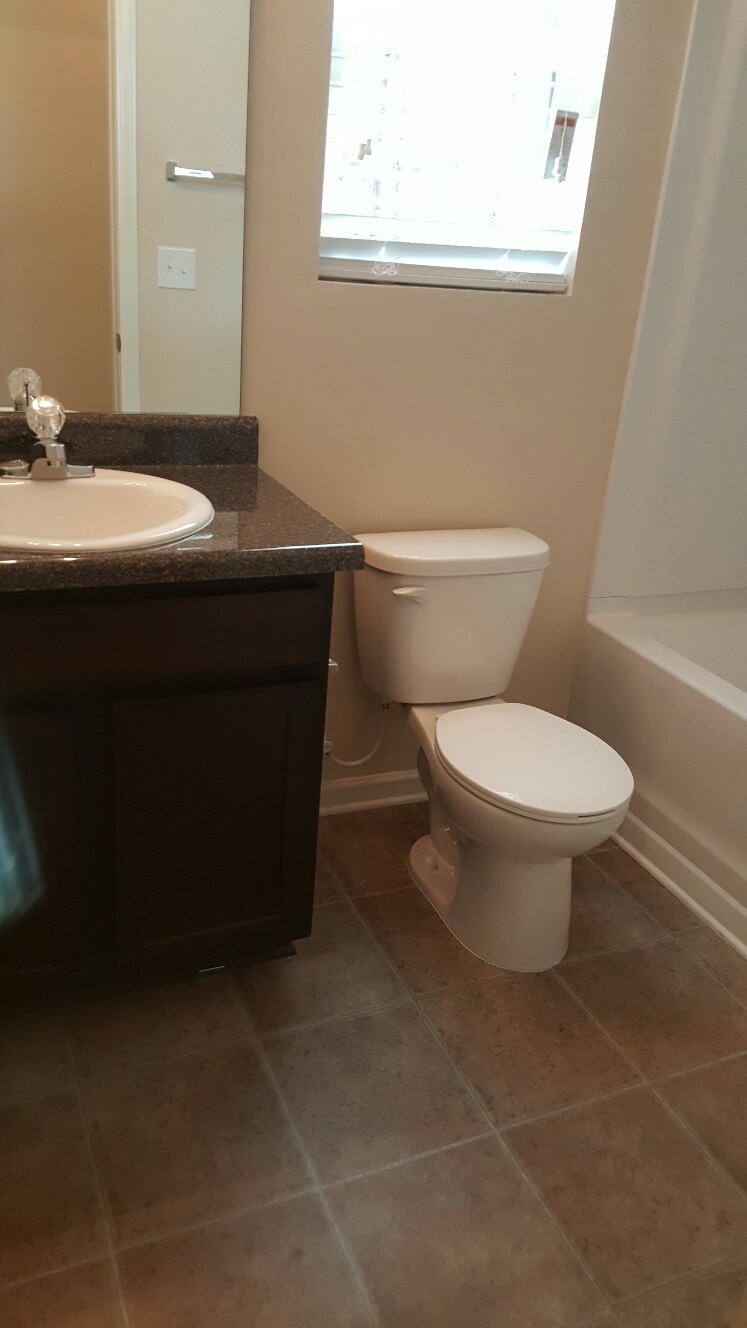 2559 Martini Ave, Bethlehem, GA 30620 photo 18