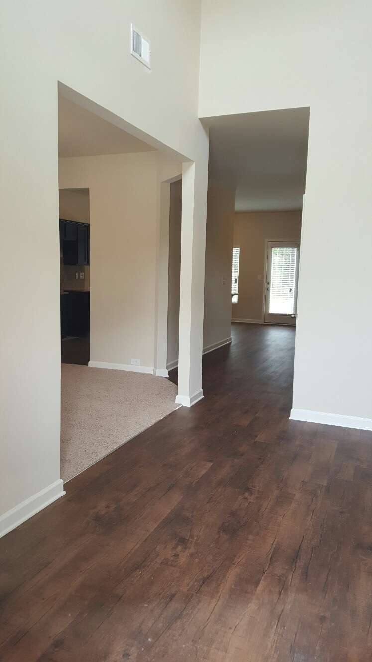 2559 Martini Ave, Bethlehem, GA 30620 photo 5