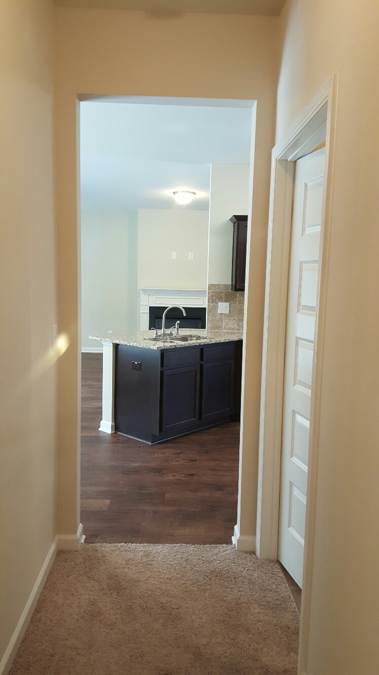 2559 Martini Ave, Bethlehem, GA 30620 photo 19