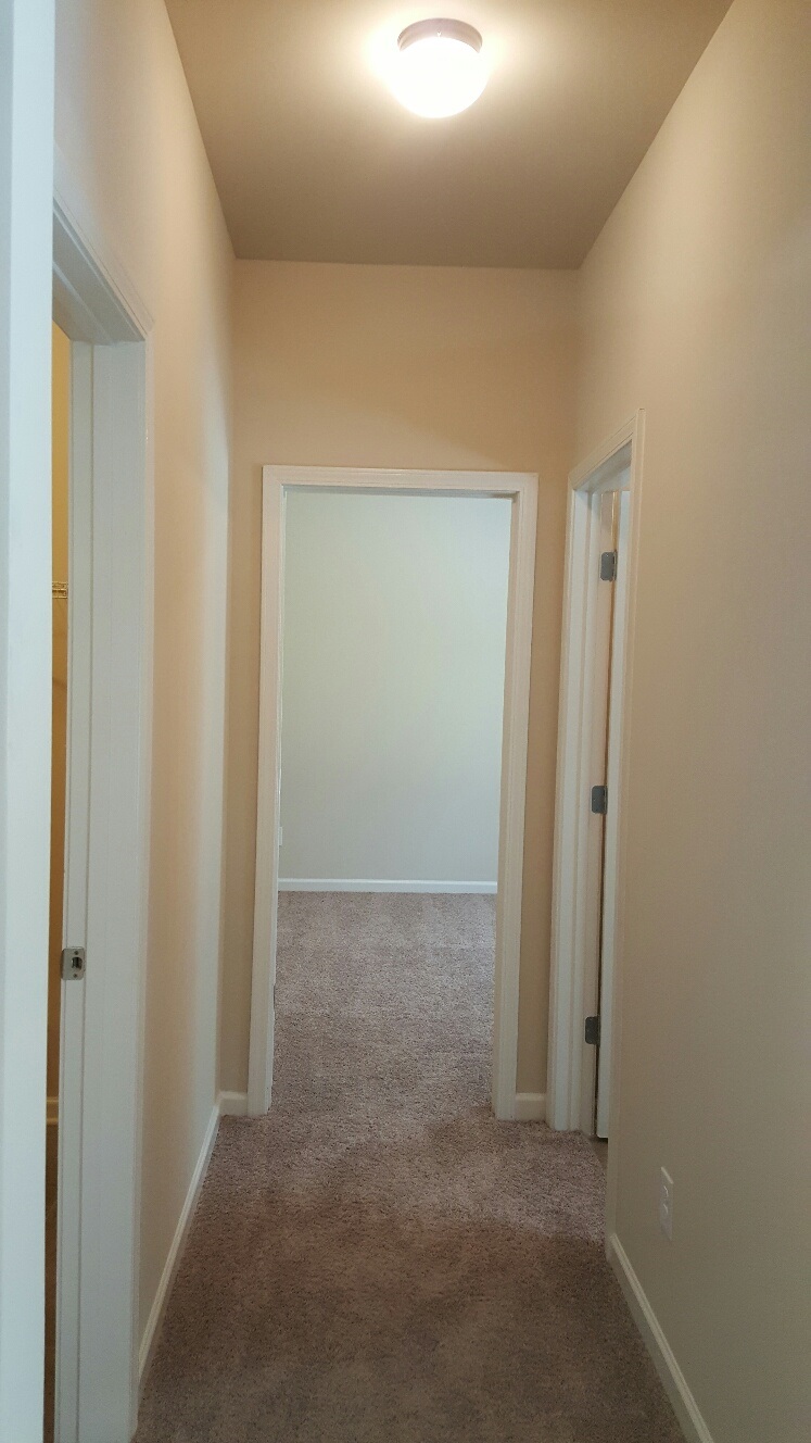 2559 Martini Ave, Bethlehem, GA 30620 photo 16