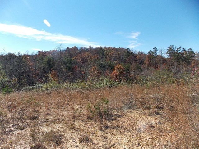 419 Ford Rd, Resaca, GA 30735 photo 4