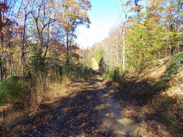 419 Ford Rd, Resaca, GA 30735 photo 2