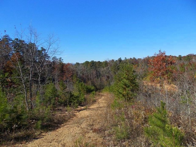 419 Ford Rd, Resaca, GA 30735 photo 5