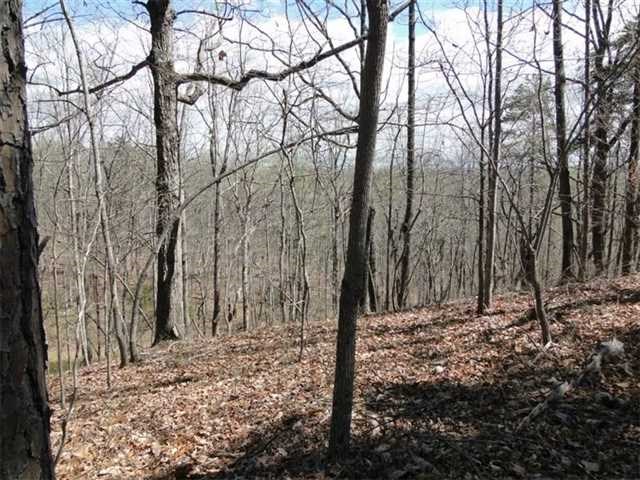 297 Herrin Dr, Lula, GA 30554 photo 16