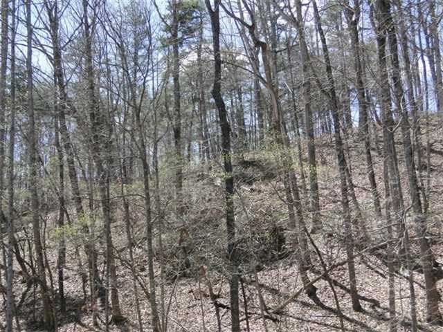 297 Herrin Dr, Lula, GA 30554 photo 18