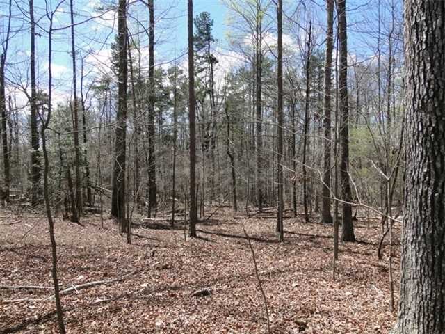 297 Herrin Dr, Lula, GA 30554 photo 15