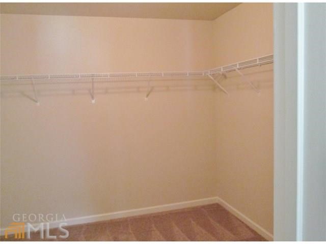 11072 Milano Ln, Hampton, GA 30228 photo 23