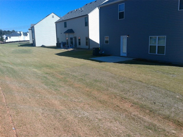 377 Pernell Dr, Hampton, GA 30228 photo 3