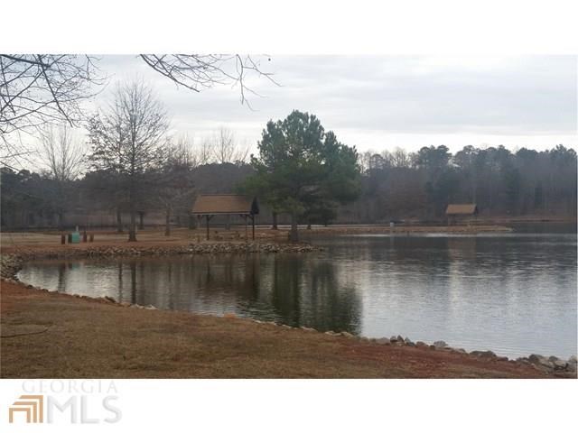 383 Pernell Dr, Hampton, GA 30228 photo 9