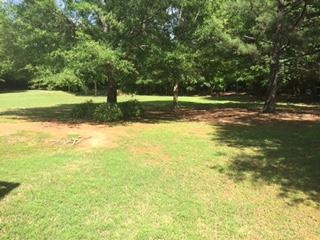 208 Edenwylde Ct, Hampton, GA 30228 photo 25
