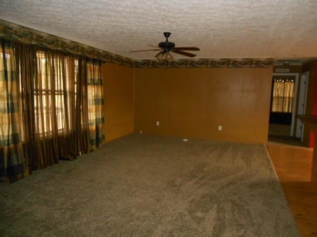 660 Smith Chapel Rd, Adrian, GA 31002 photo 3