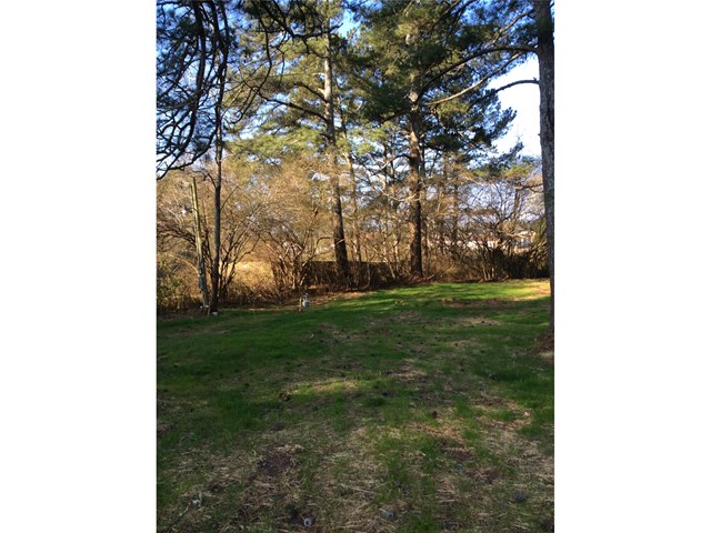 433 New Light Rd, Canton, GA 30115 photo 2