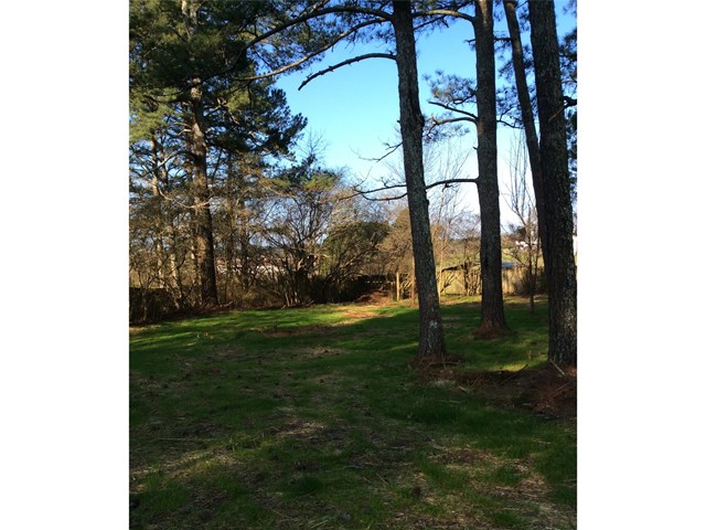 433 New Light Rd, Canton, GA 30115 photo 1