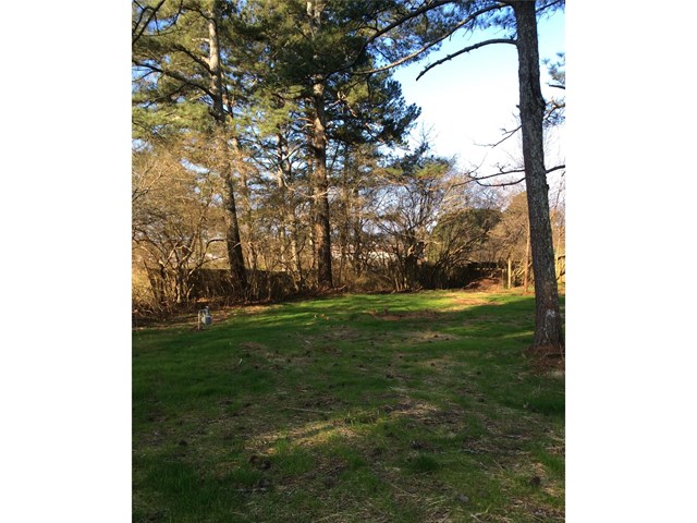 433 New Light Rd, Canton, GA 30115 photo 4