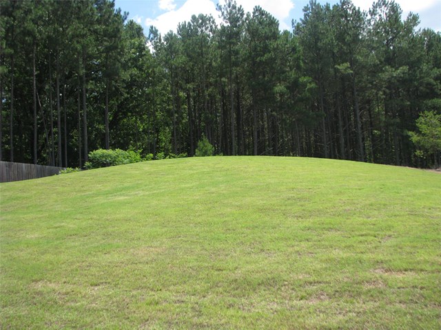 1850 Browning Bend Ct, Dacula, GA 30019 photo 9