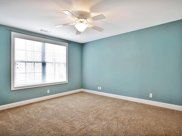 235 Shankhill Rdg, Tyrone, GA 30290 photo 20