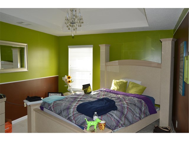 528 Hamlet Dr, Hampton, GA 30228 photo 13