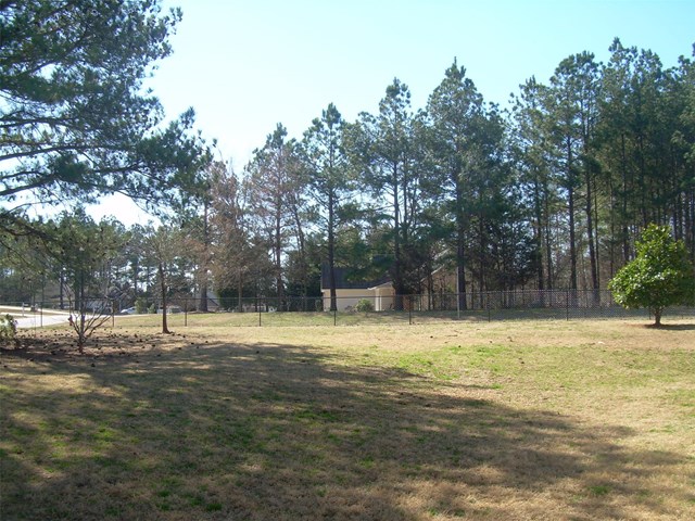 391 E Sycamore Dr, Winder, GA 30680 photo 12