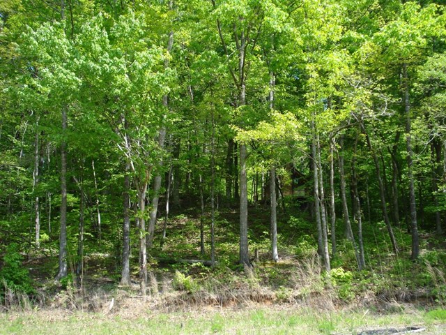 511 Point Rd, Westminster, SC 29693 photo 2