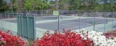 511 Point Rd, Westminster, SC 29693 photo 11