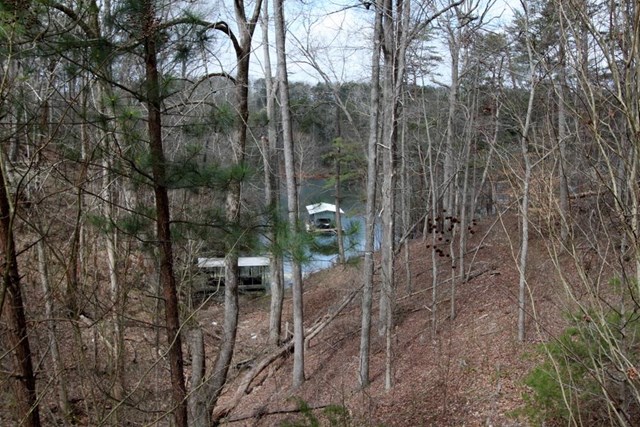 3155 Dockside Dr, Gainesville, GA 30501 photo 6