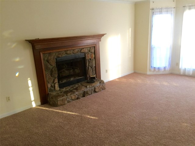 1337 Brady Ct, Hampton, GA 30228 photo 5