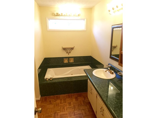 1337 Brady Ct, Hampton, GA 30228 photo 16