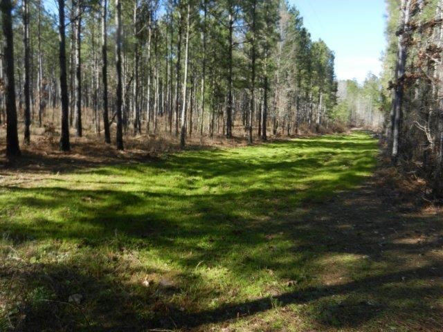 474 Mann Rd, Barnesville, GA 30204 photo 7