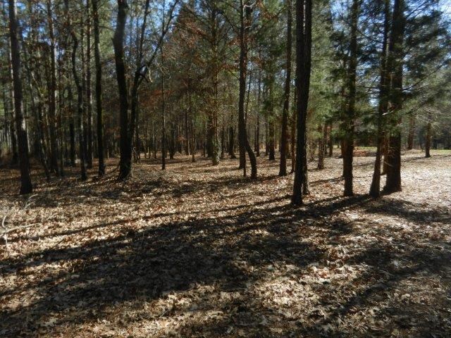 474 Mann Rd, Barnesville, GA 30204 photo 5