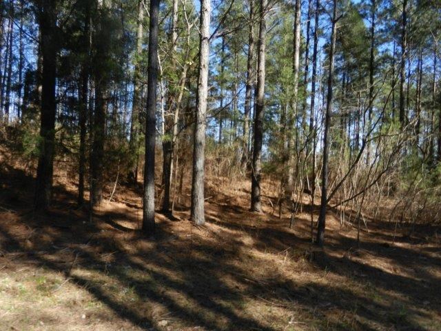 474 Mann Rd, Barnesville, GA 30204 photo 2