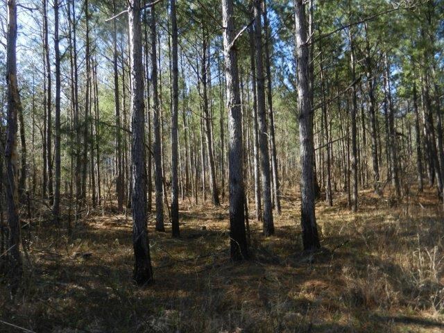 474 Mann Rd, Barnesville, GA 30204 photo 11