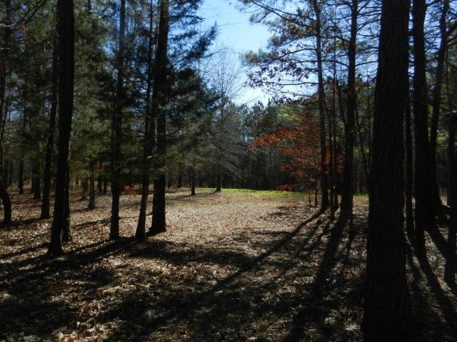 474 Mann Rd, Barnesville, GA 30204 photo 6