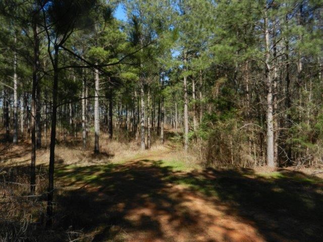 474 Mann Rd, Barnesville, GA 30204 photo 9