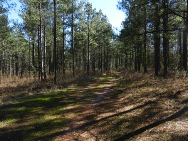 474 Mann Rd, Barnesville, GA 30204 photo 4