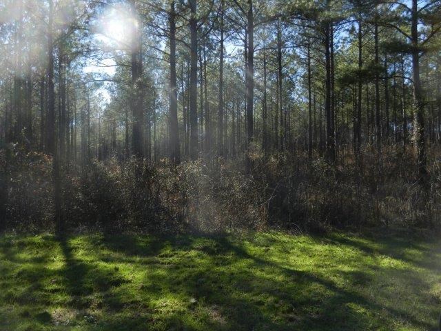 474 Mann Rd, Barnesville, GA 30204 photo 12