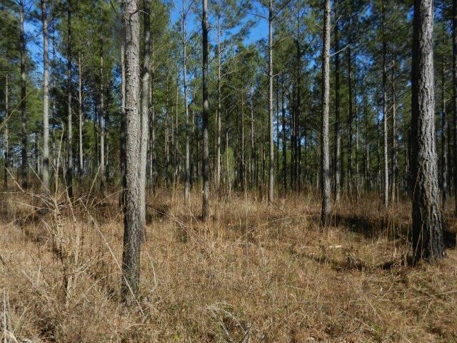 474 Mann Rd, Barnesville, GA 30204 photo 3