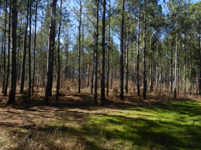 474 Mann Rd, Barnesville, GA 30204 photo 8