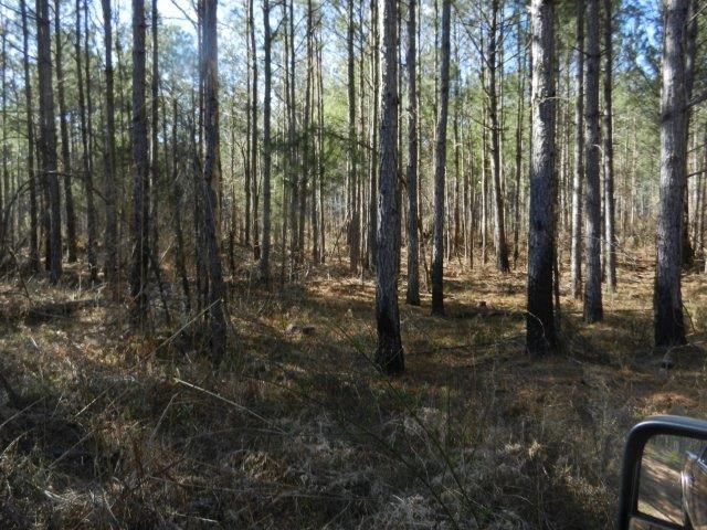 474 Mann Rd, Barnesville, GA 30204 photo 10