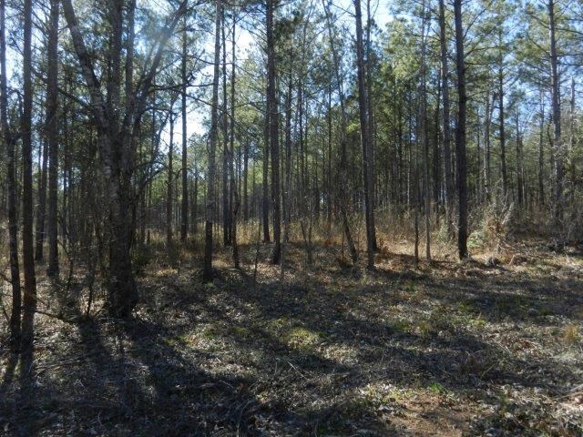 474 Mann Rd, Barnesville, GA 30204 photo 13