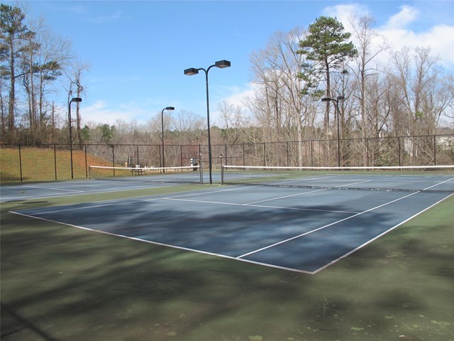 525 Cascade Walk, Mcdonough, GA 30253 photo 19