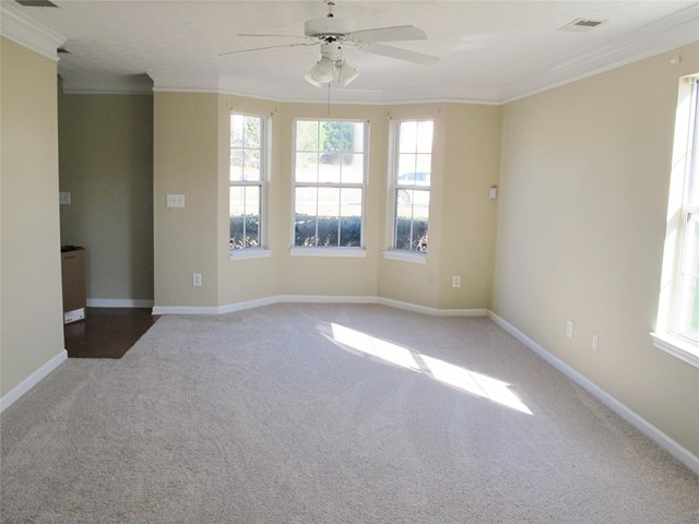 525 Cascade Walk, Mcdonough, GA 30253 photo 3