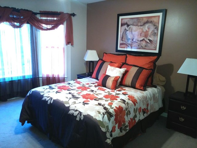 12637 Old Well Ct, Hampton, GA 30228 photo 19