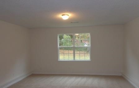 132 Madisyn Dr, Hampton, GA 30228 photo 10
