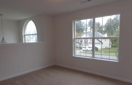 132 Madisyn Dr, Hampton, GA 30228 photo 15