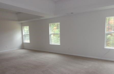 132 Madisyn Dr, Hampton, GA 30228 photo 14