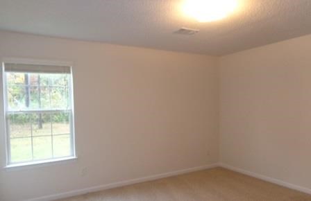 132 Madisyn Dr, Hampton, GA 30228 photo 9