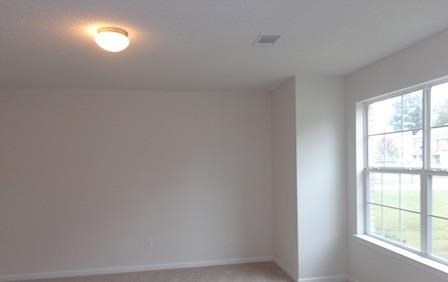 132 Madisyn Dr, Hampton, GA 30228 photo 2