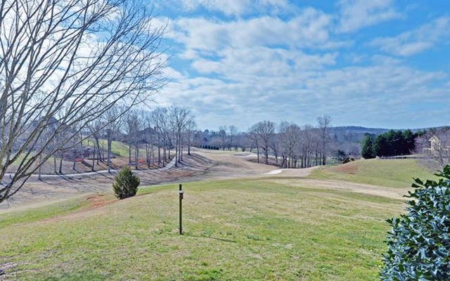 506 Jonathan Pl, Clarkesville, GA 30523 photo 22